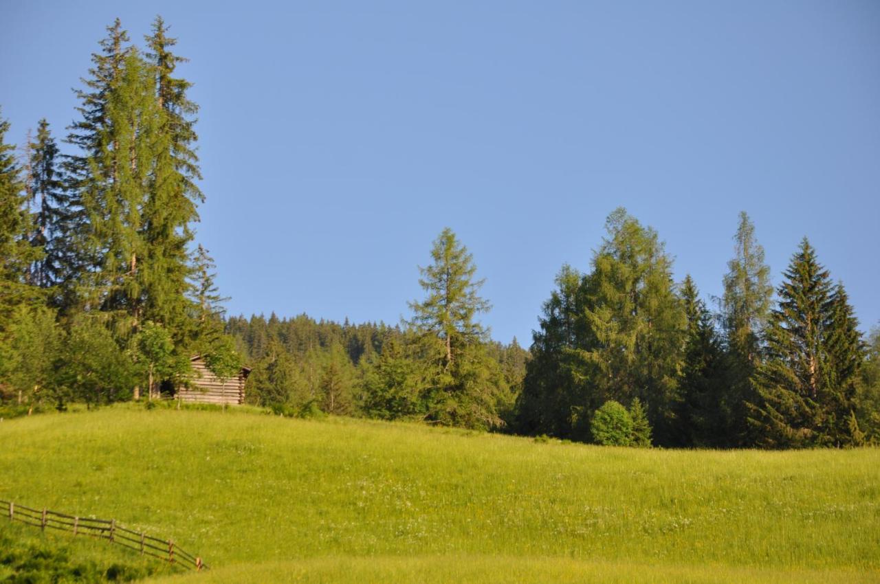 Das "Zwislegggut" Wagrain Exteriér fotografie