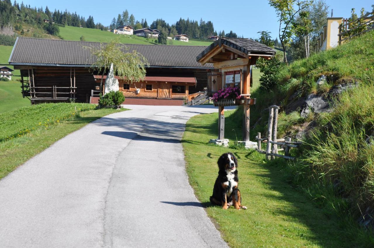 Das "Zwislegggut" Wagrain Exteriér fotografie